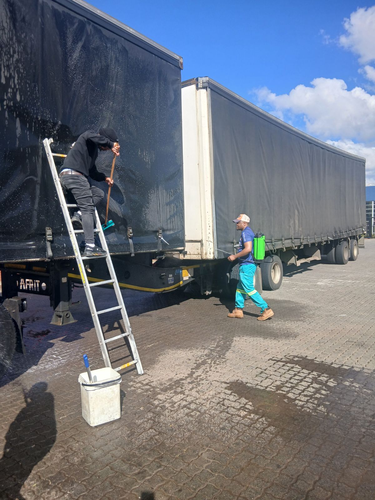 Thammy Cleaning Services and Pest Control